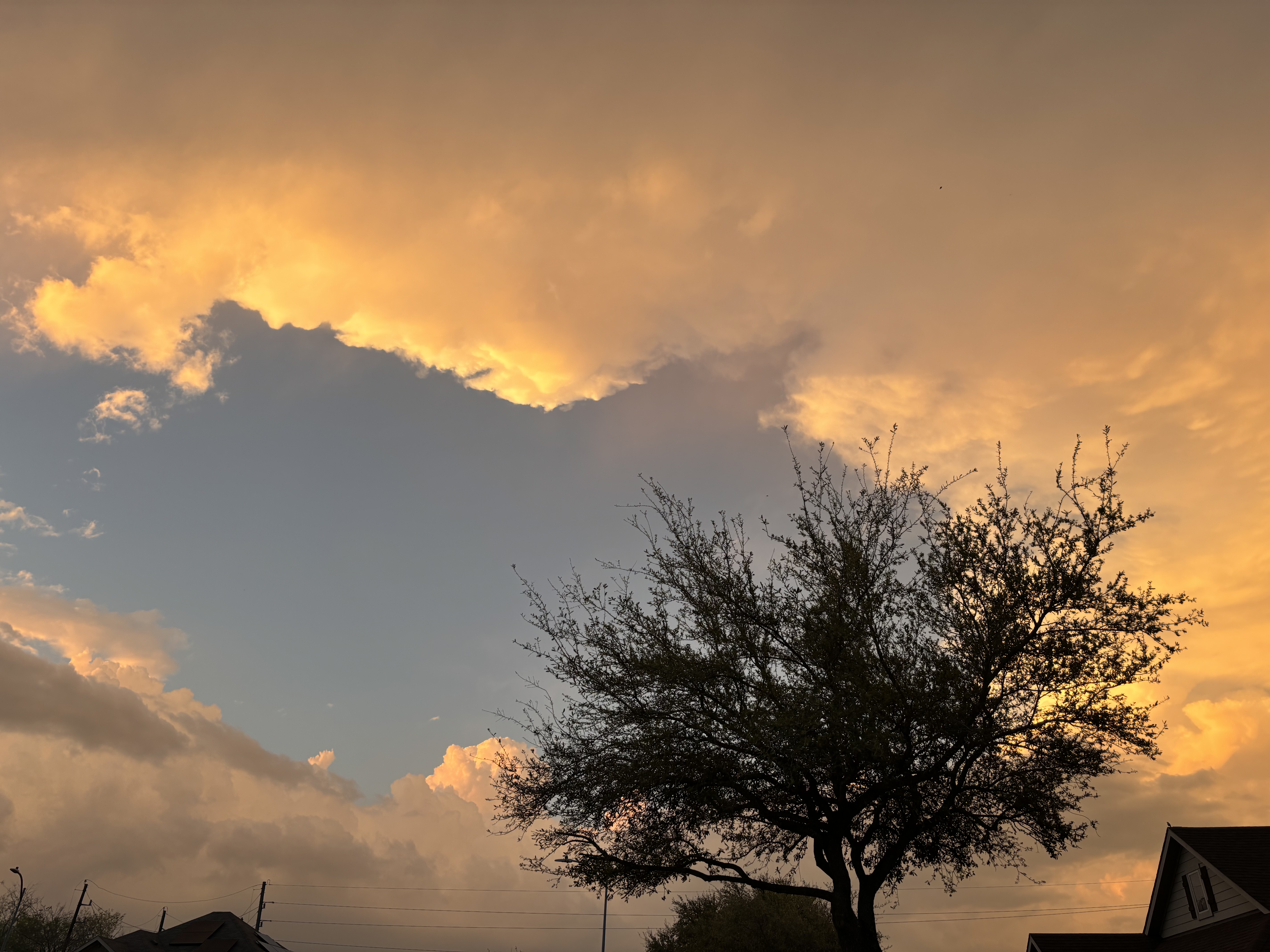 Dusk