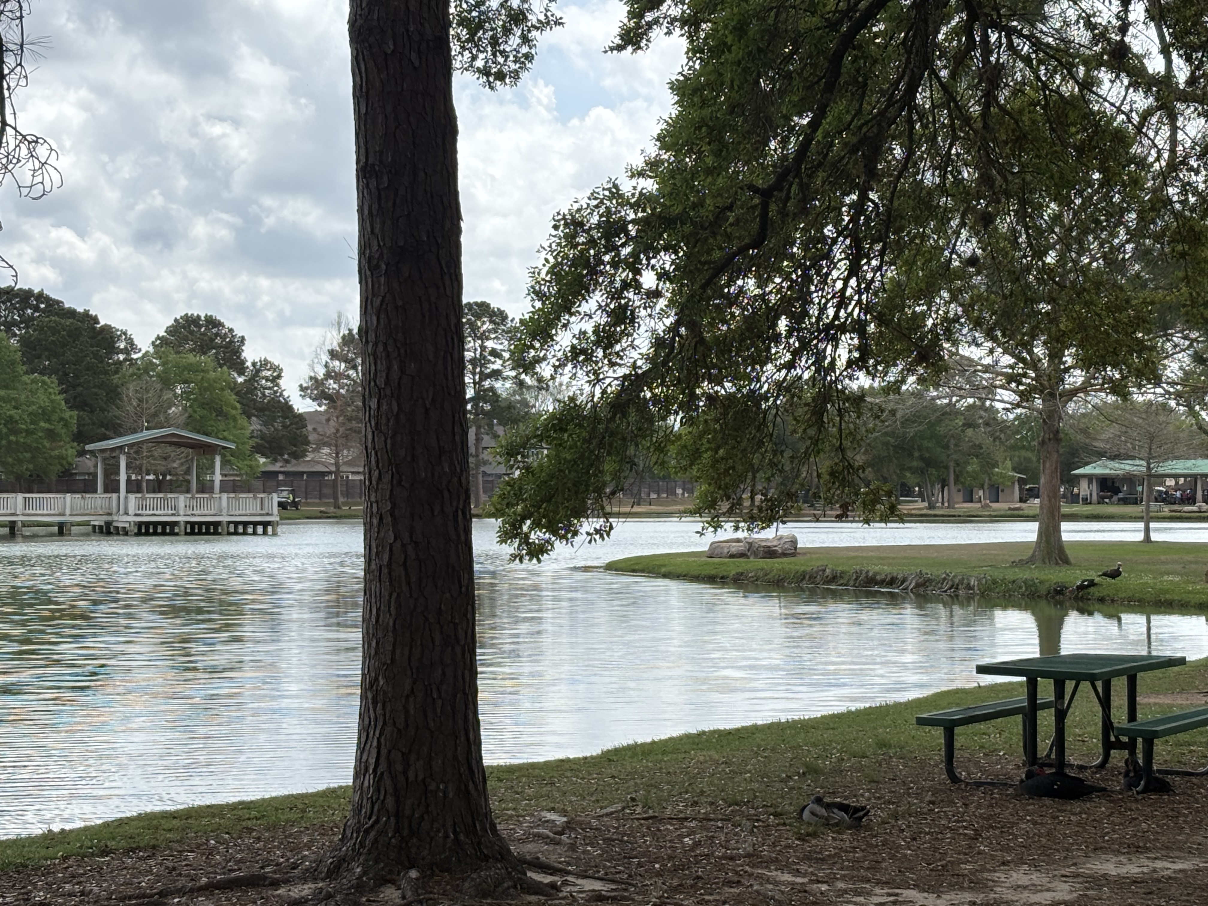 Lake
